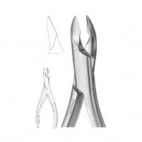 panelimages/products/small_1886.jpg