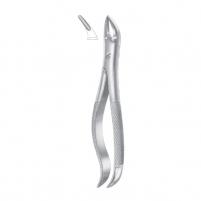 panelimages/products/small_499.jpg