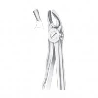 panelimages/products/small_589.jpg