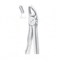 panelimages/products/small_590.jpg