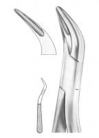 panelimages/products/small_636.jpg