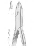 panelimages/products/small_705.jpg